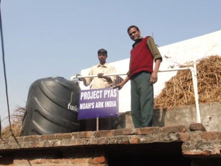 Project-Piyas Project-Piyas